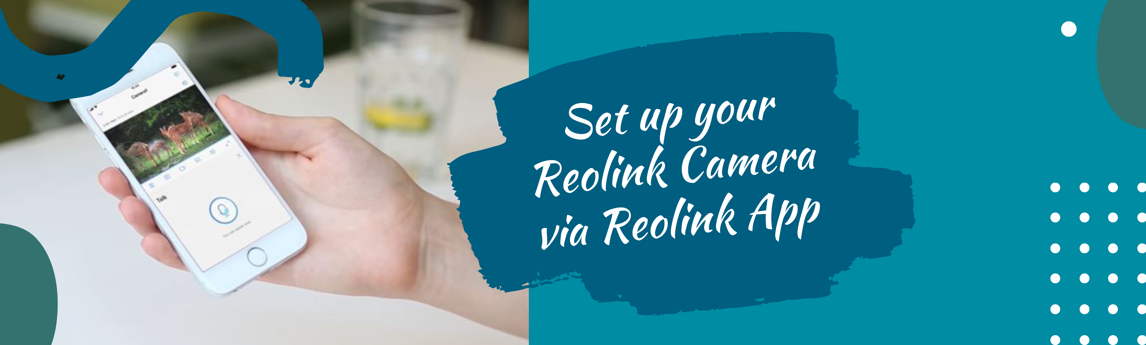 Reolink wireless camera 2024 setup