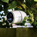 Reolink Go Ultra | 4K 8MP Smart 4G LTE Battery-Powered Solar Camera | White | REO-GO-ULTRA | Connect It Ireland