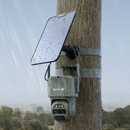 Reolink TrackMix LTE-C Camera trap attached to a wooden post in the rain. Reolink TrackMix LTE-C | 4G Dual-Lens Security Camera with Auto-Zoom Tracking | Camo | Connect It Ireland