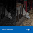 Tp-Link | Tapo C320WS | Outdoor Security Wi-Fi Camera | Connect It Ireland