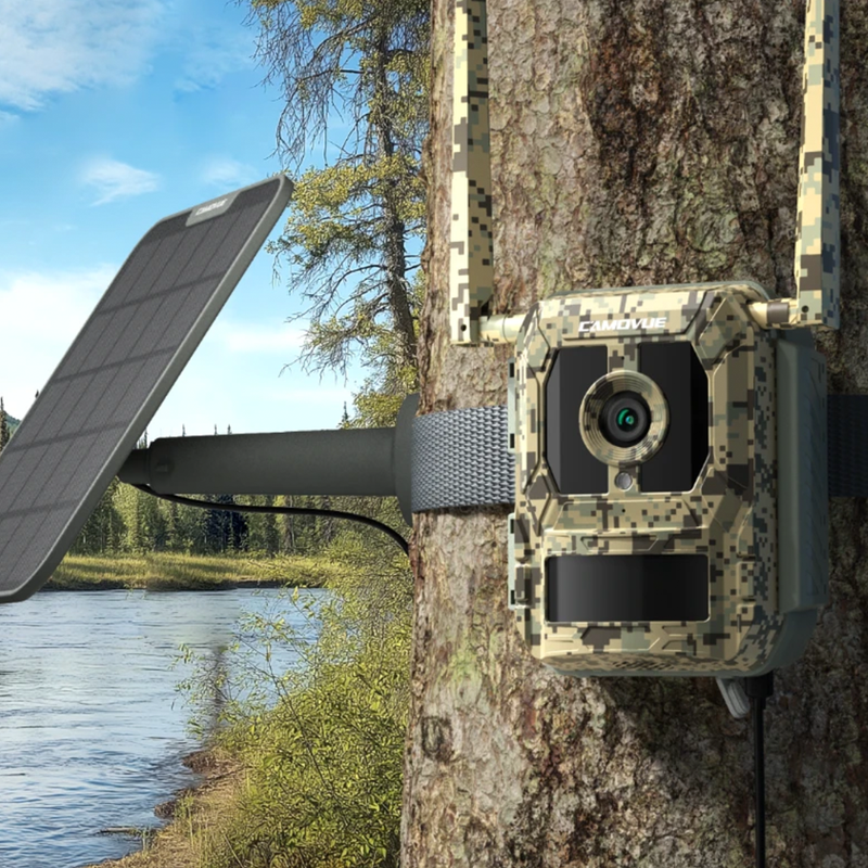 Reolink | Camovue Talon Pro | 4K 4G LTE Game and Trail Camera | Connect It Ireland