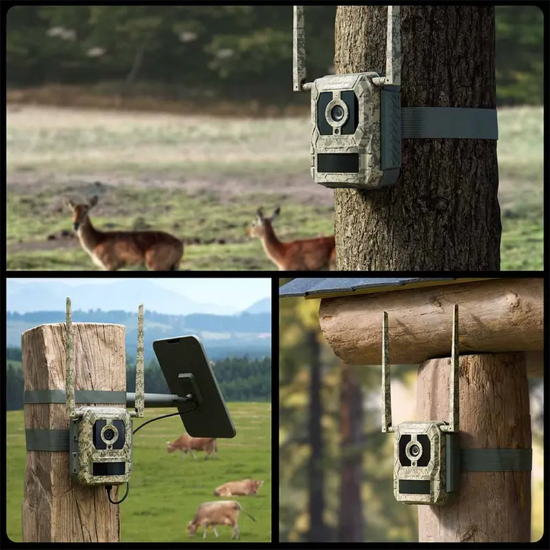 Reolink | Camovue Talon Pro | 4K 4G LTE Game and Trail Camera | Connect It Ireland