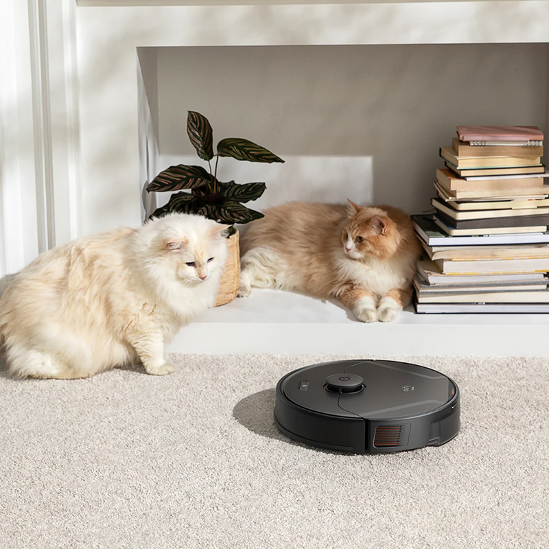 Eufy pet hair hotsell