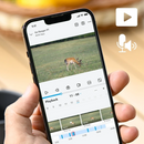 Reolink Go Ranger PT | 4K 4G LTE Wildlife Camera | Connect It Ireland